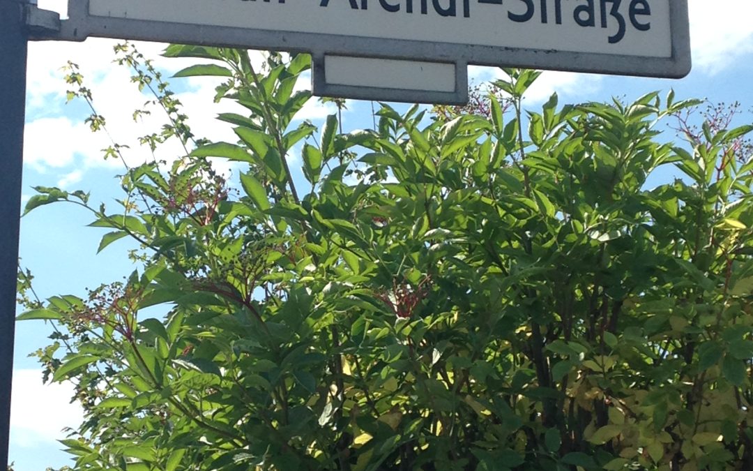 Is the first cut really the deepest? à propos  philosophical Crushes