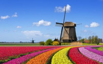 La crisis de los Tulipanes y los aprendizajes que nos dejó